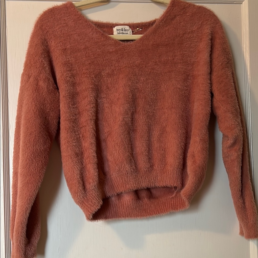 Ivy and Leo Pink V-Neck Sweater